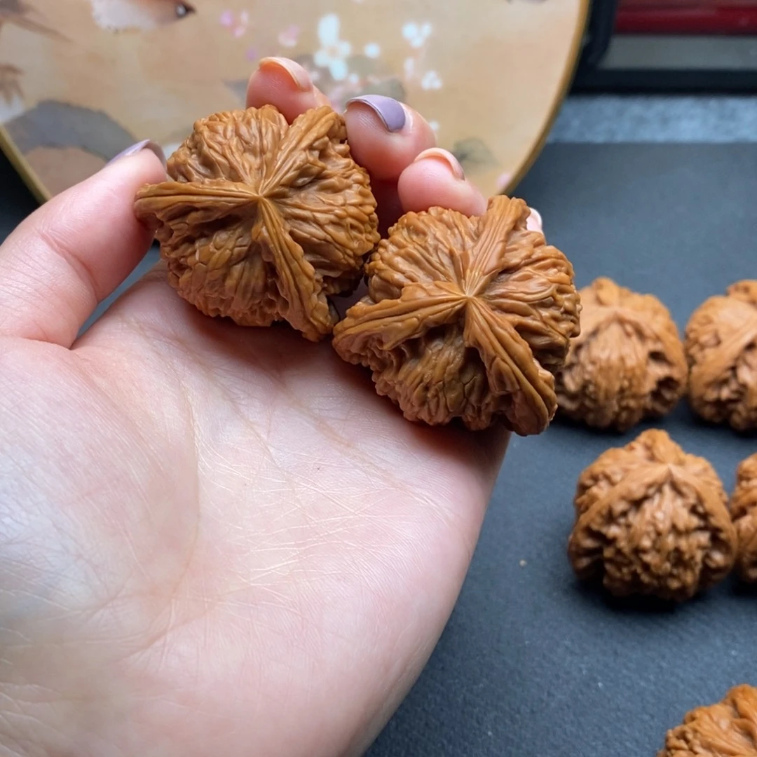 ?****?白狮子111111111111