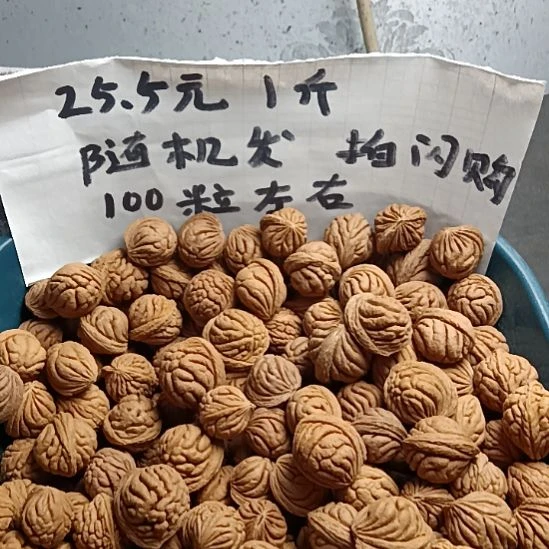 桃核吊坠霸王龙25.5元一斤随机发