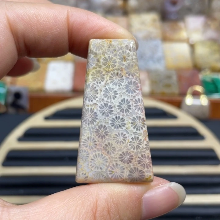 硅化玉未镶嵌颈饰k80