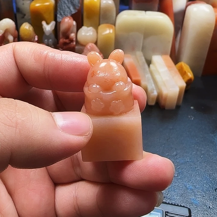 老挝石兔兔