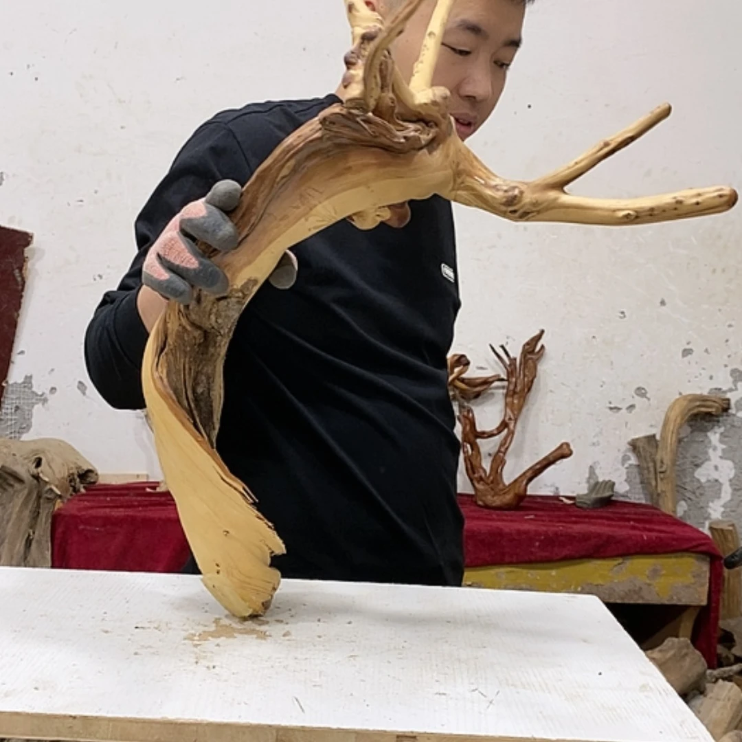 【闪购商品】柏木水*客我们都是好孩子