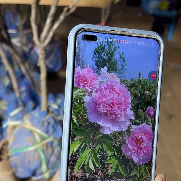与***过完全开放赵粉中颗