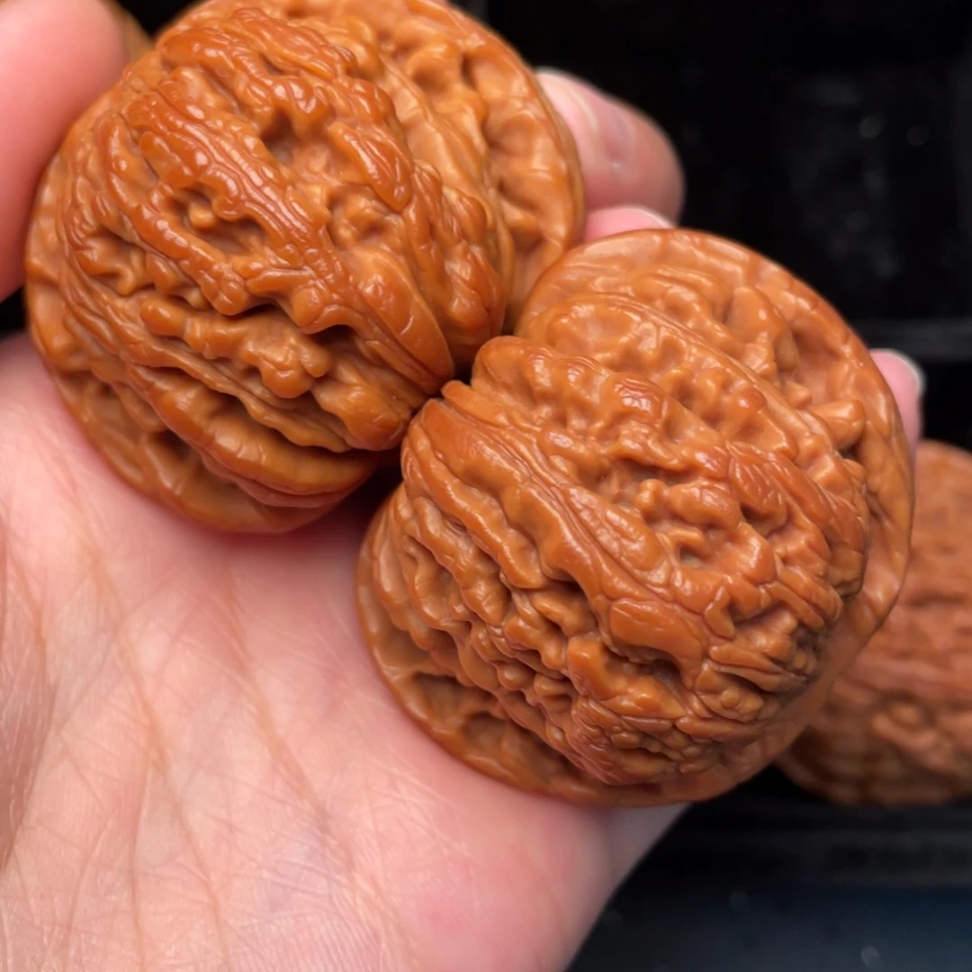 秦岭野生文玩核桃