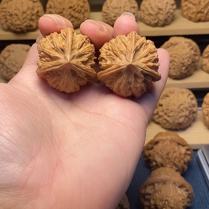 核桃35全品文山球奔