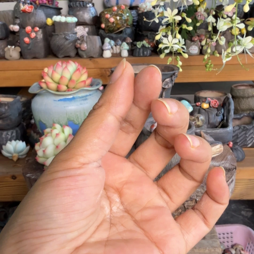 泽***帅重庆小燕子欢迎大家