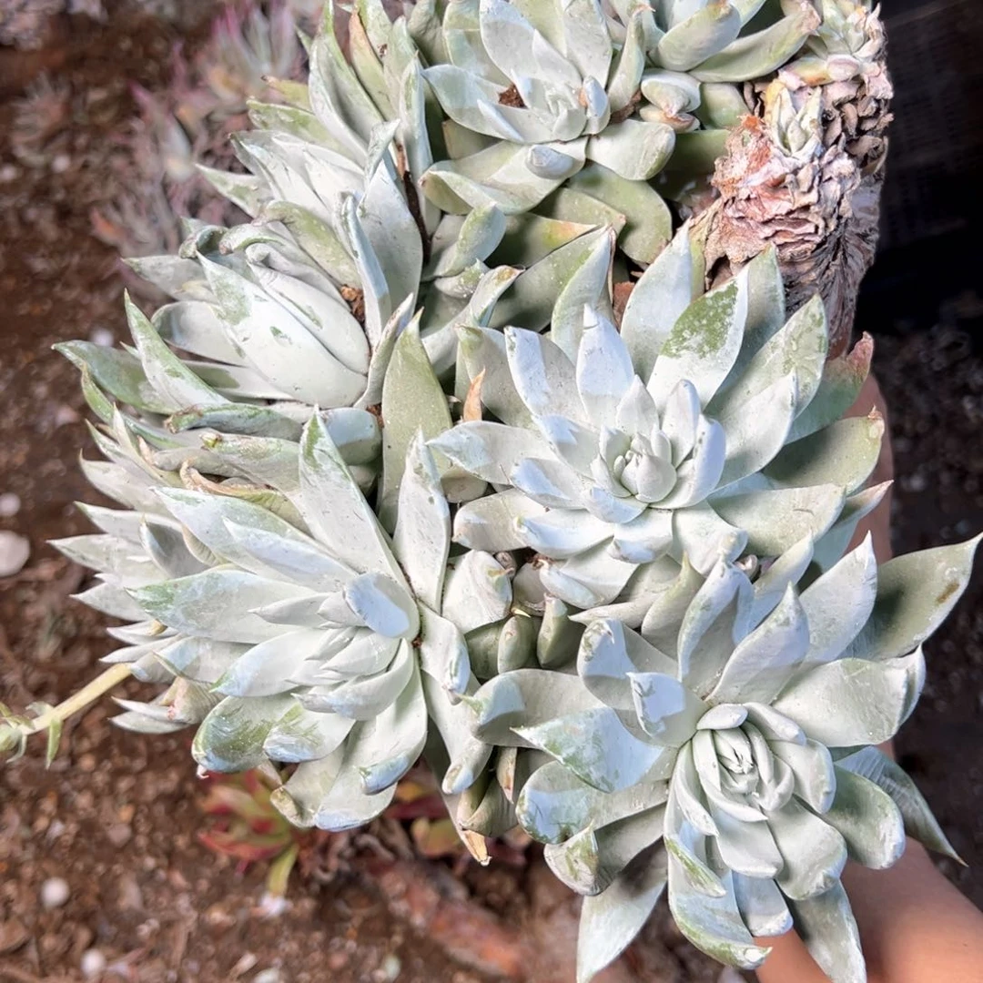 5522哈哈哈哈哈哈哈哈哈