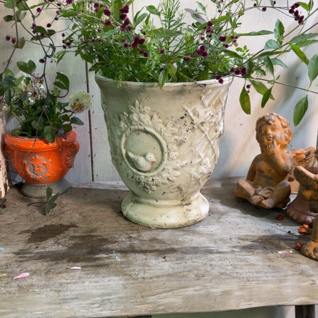 许纯的花房 白色鸟盆奖杯