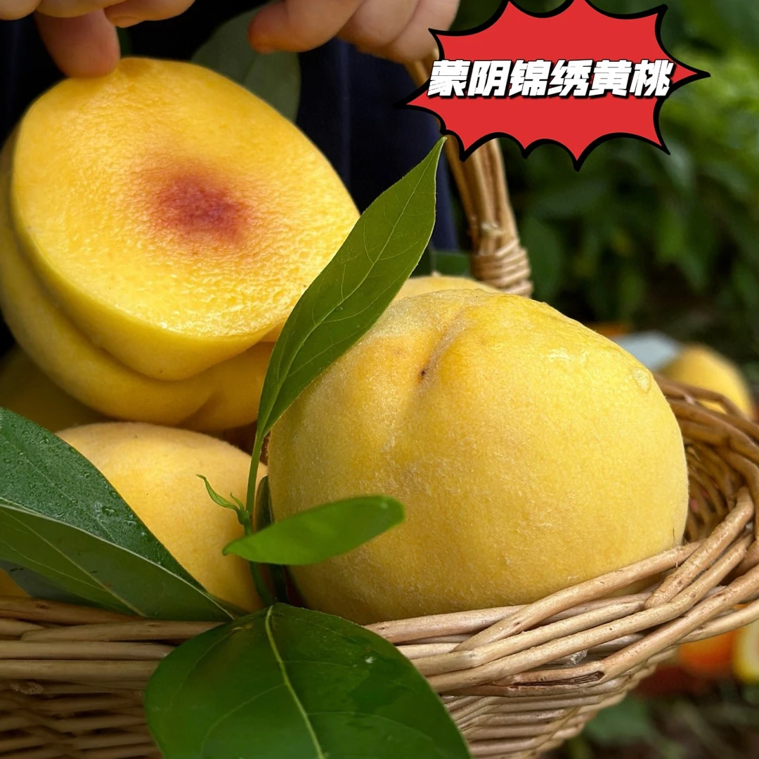山东蒙阴锦绣黄桃新鲜黄桃软硬两吃香甜多汁4.5斤