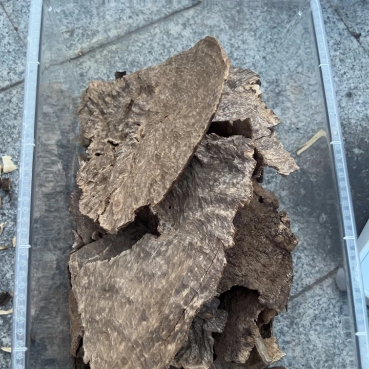 天然沉香板头泡茶料100克