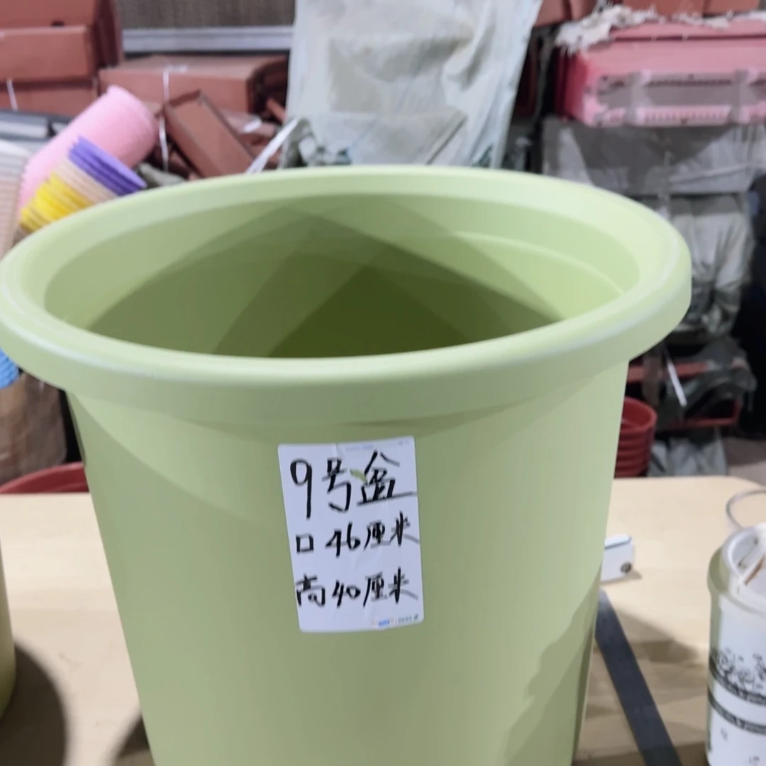 塑料四季9号果绿4个带拖