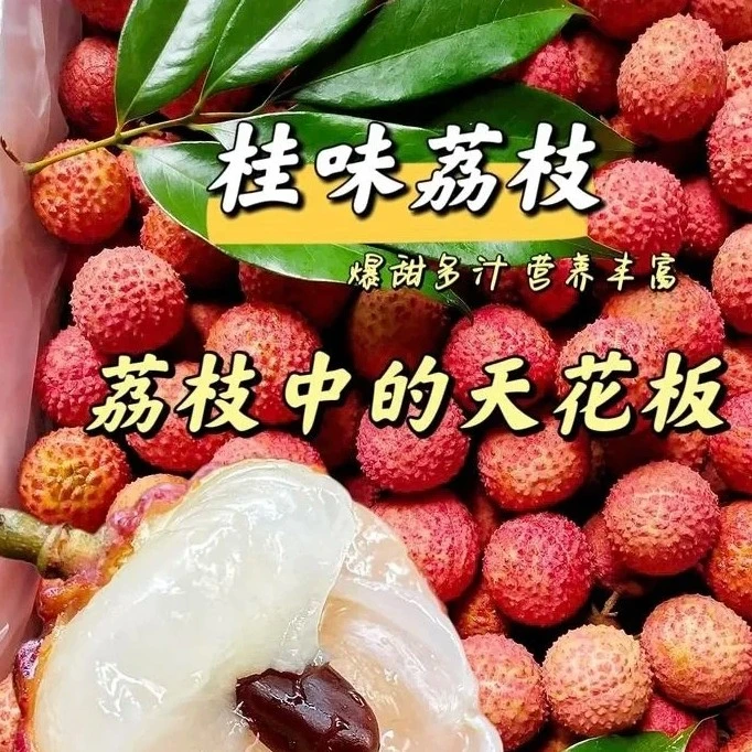 【高品质】新鲜上市桂味荔枝一斤海南省