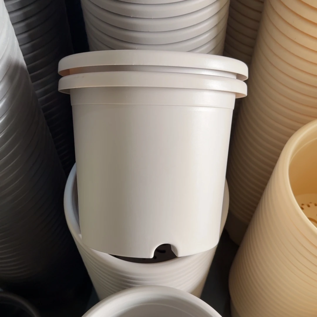 四季4#无拖灰白10个