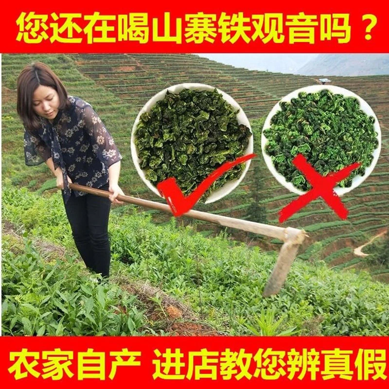 正宗新茶叶安溪铁观音秋茶散装1725乌龙茶春茶清香型浓香型兰花香