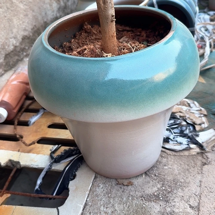 花盆工厂微瑕花盆啦啦哈哈