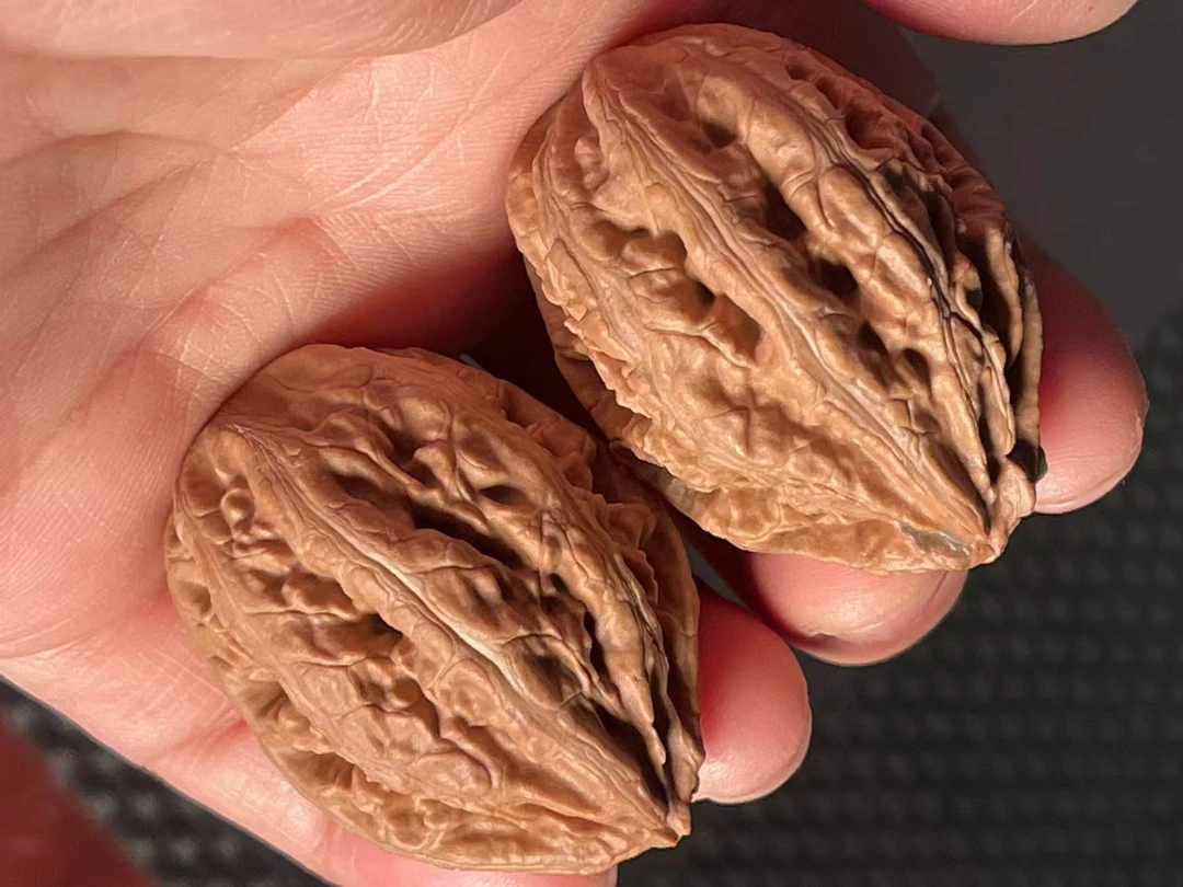 东北野生楸子，通天塔