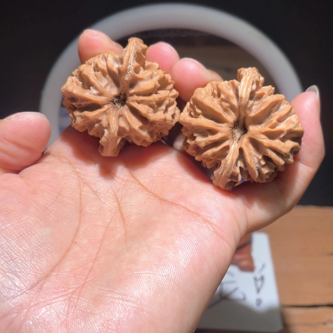 今****?S167 40尺 大龙