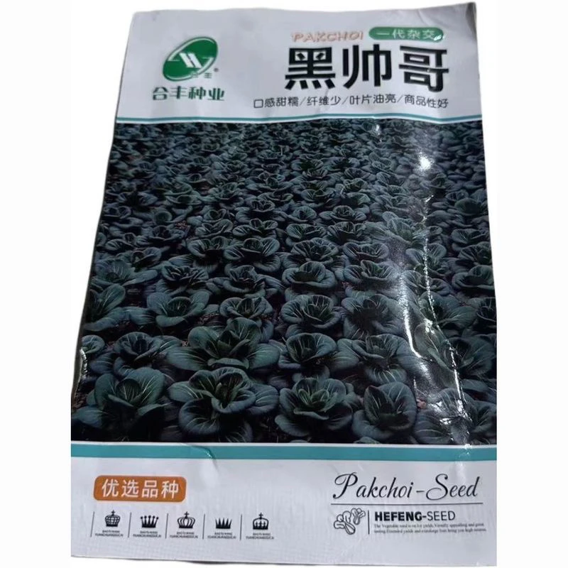 黑帅哥青菜种子耐寒越冬青梗菜种子墨绿色矮脚油亮黑叶秋播蔬菜籽