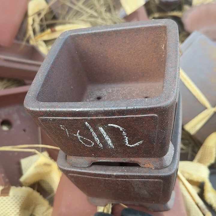 紫砂是风风光光哈哈哈哈哈