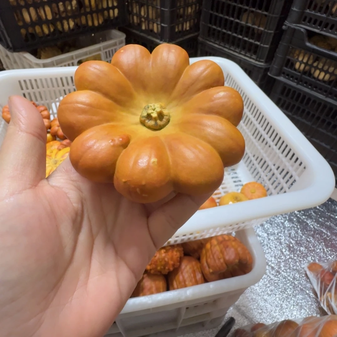 飞***飞特价葫芦不退不换
