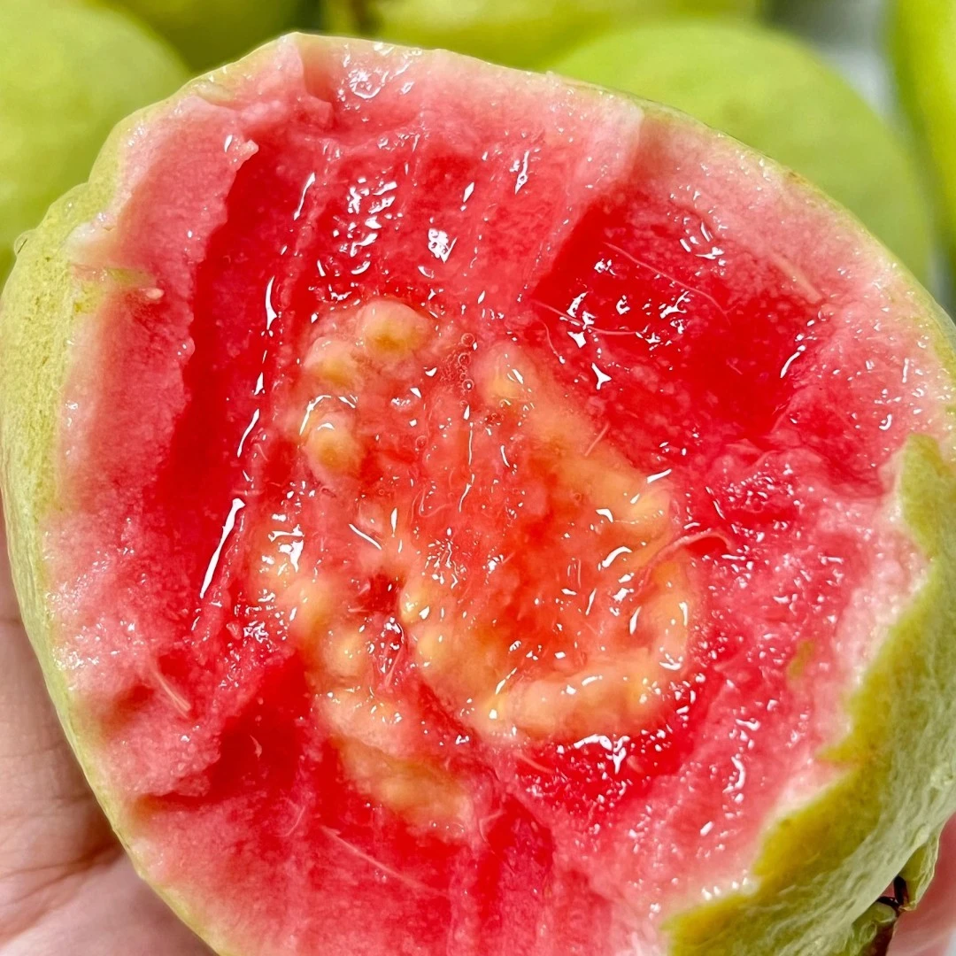 【鲜果】芭乐一盒*2个g