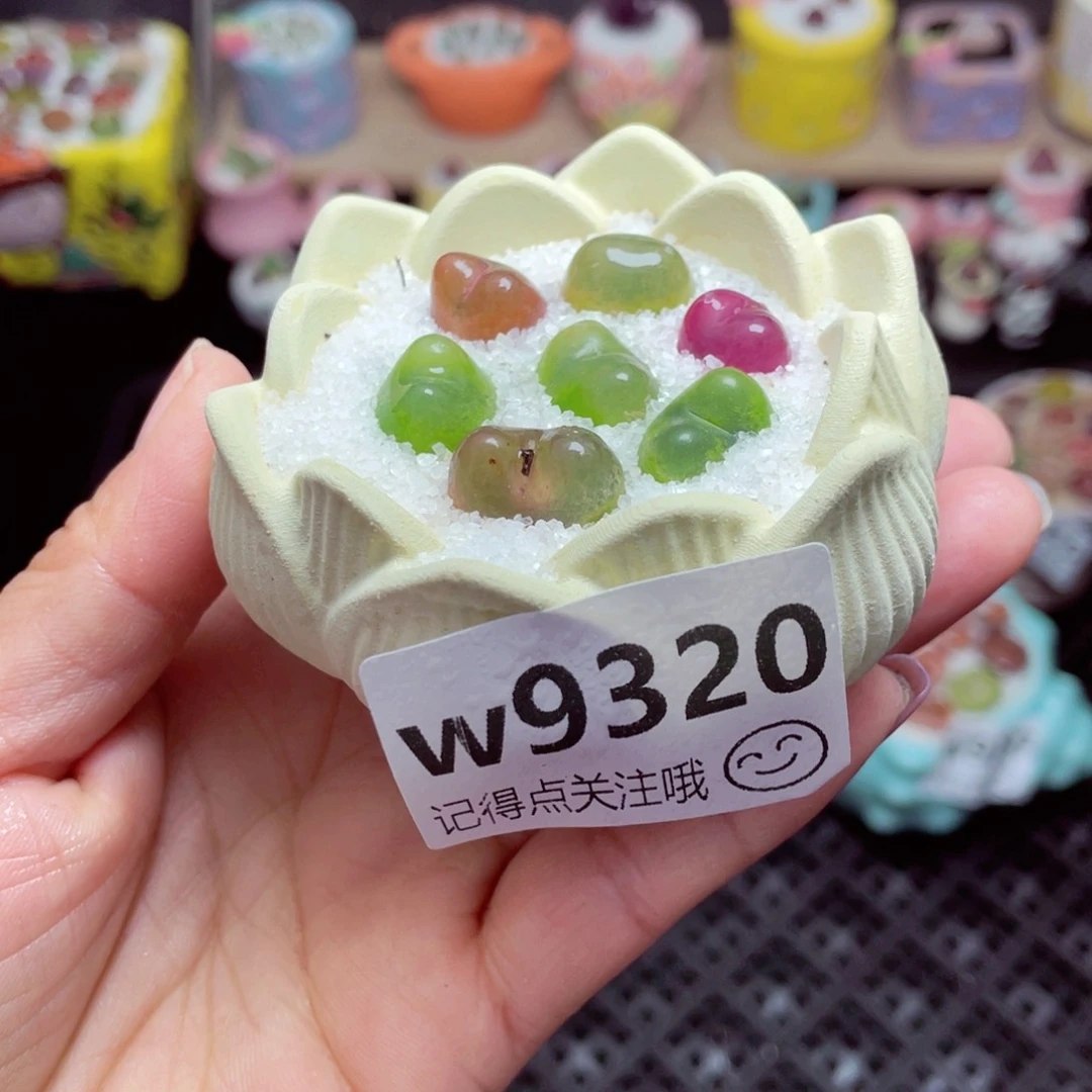 w9320 带盆土发货-零下地区拍保温箱