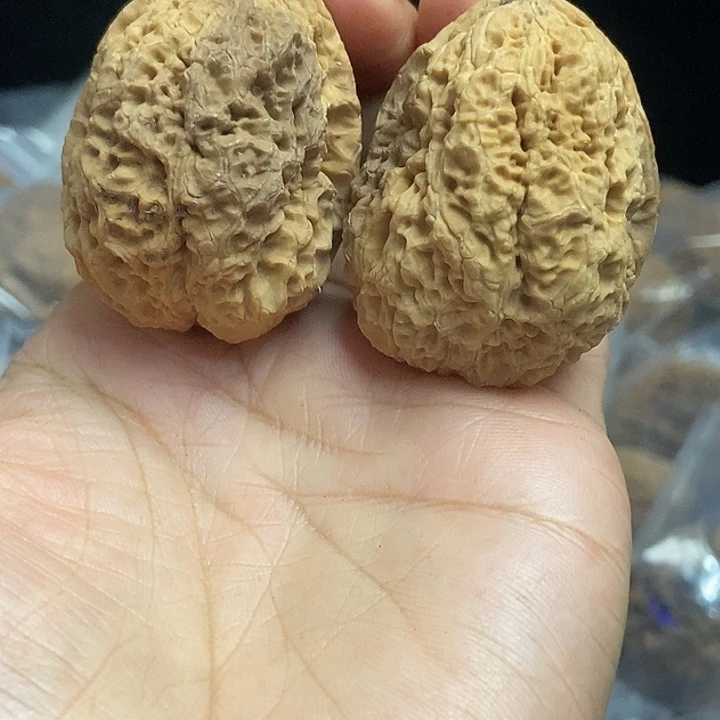 文玩核桃把件云南铁核桃基地67