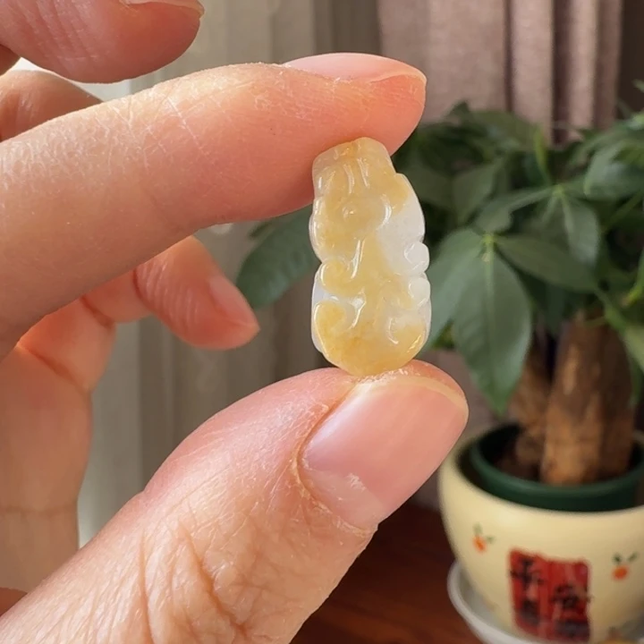 翡翠未镶嵌颈饰18