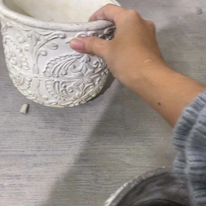 花盆594959199191919