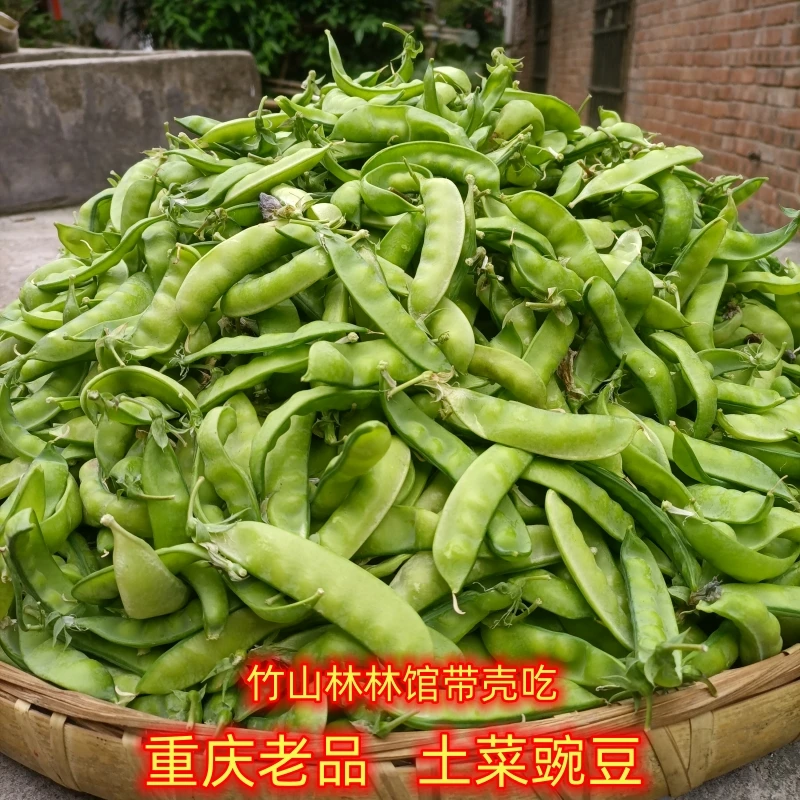 重庆菜豌豆荚新鲜豆角青带壳豆老品种荷兰豆四川豌豆当季蔬菜现在