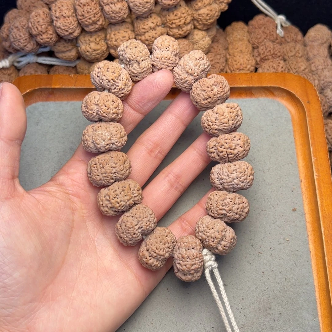 菩提36号金刚菩提夹板菠萝蜜22