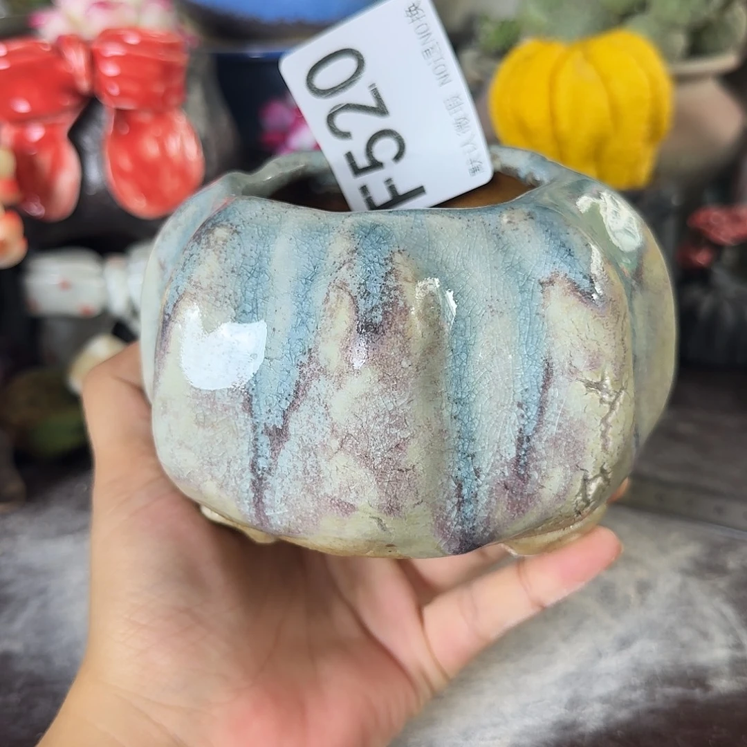 重庆小燕子欢迎大家520