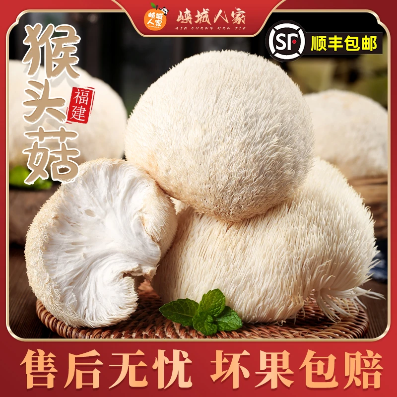 【峡城人家】福建古田新鲜猴头菇2斤顺丰快递