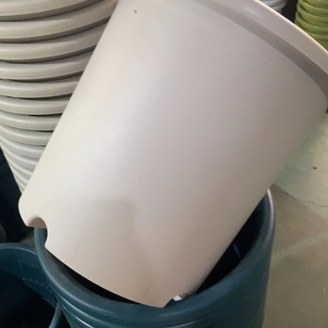 树脂四季8号灰白无托5个微瑕