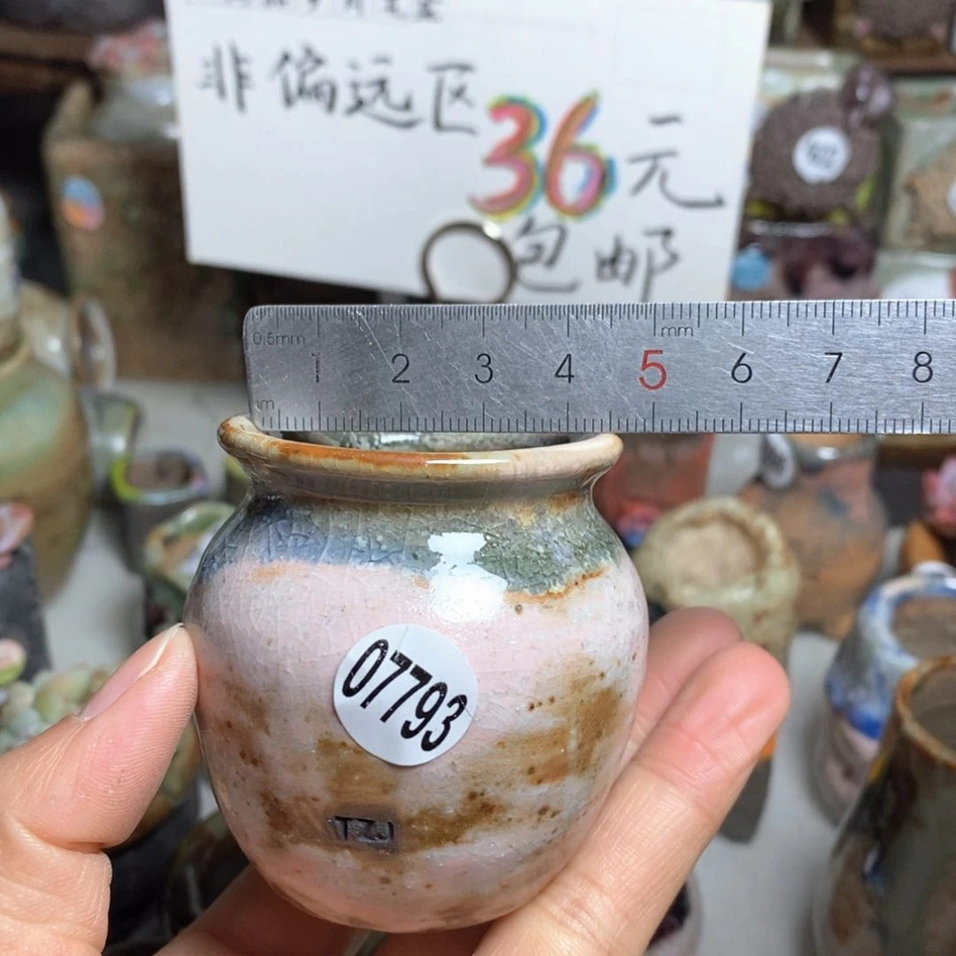 花盆拍5送一个小礼物