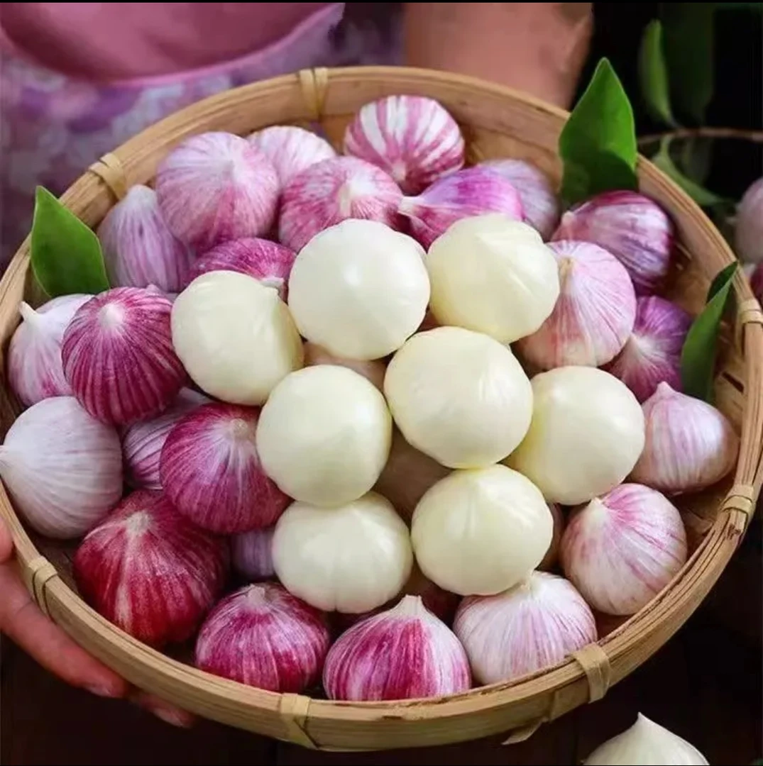 【干独头蒜】正宗日晒紫皮独头干蒜易保存冲销量