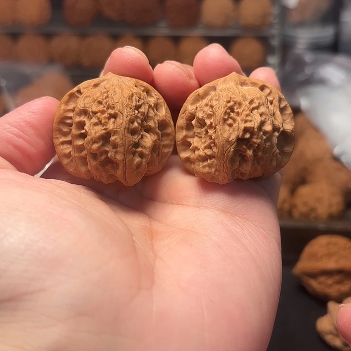 1文玩核桃龙门马蹄39-511