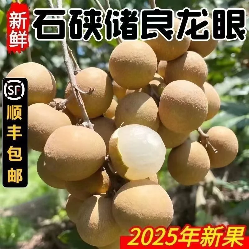 【顺丰/广西平南】广西平南石峡龙眼当季新鲜现摘现发清甜多汁水果