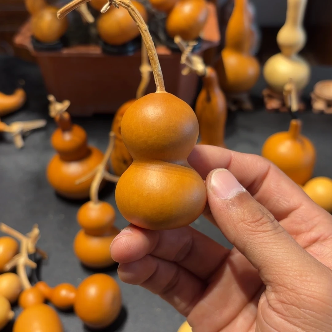 z***z葫芦8888888888888