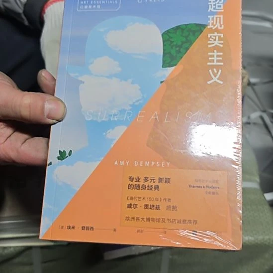 超现实主义平装库存书