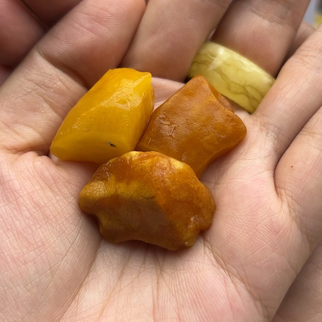 未镶嵌琥珀裸石陈