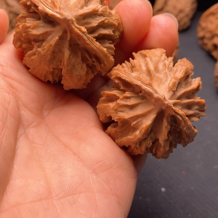 秦岭野生文玩核桃