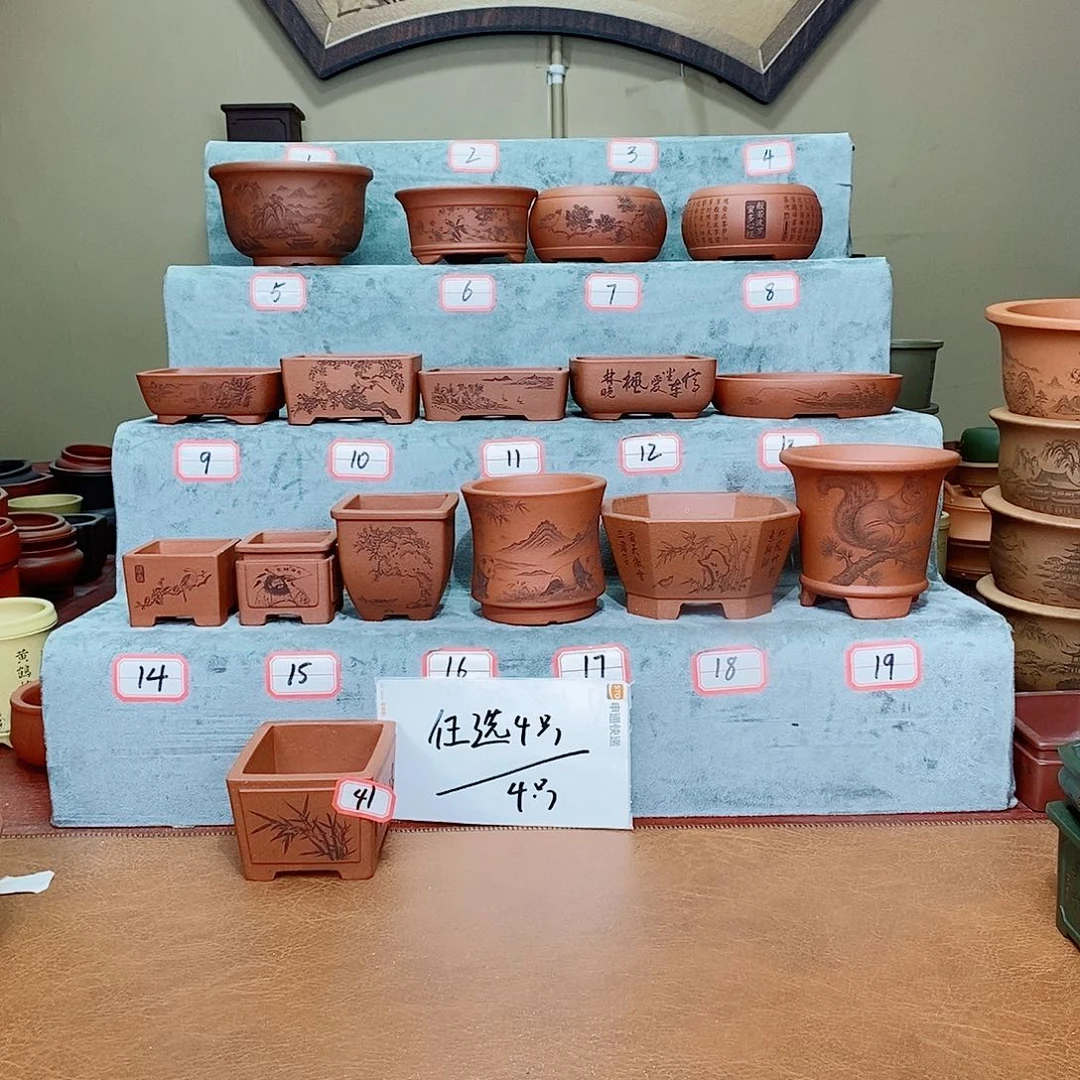 紫砂花盆我在看电影