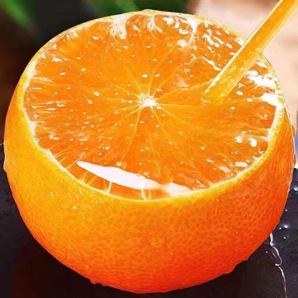 【头茬鲜果】云南爱媛果冻橙新鲜现摘皮薄多汁香甜可口应季水果