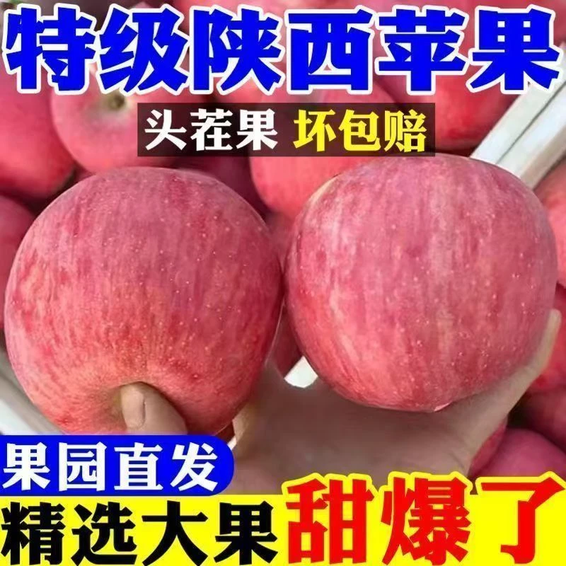 【红富士苹果】新果正宗陕西旬邑脆甜苹果新鲜水果当季特级