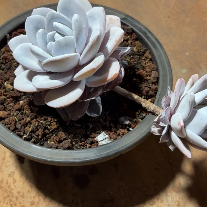 819分你放假第四季度经济