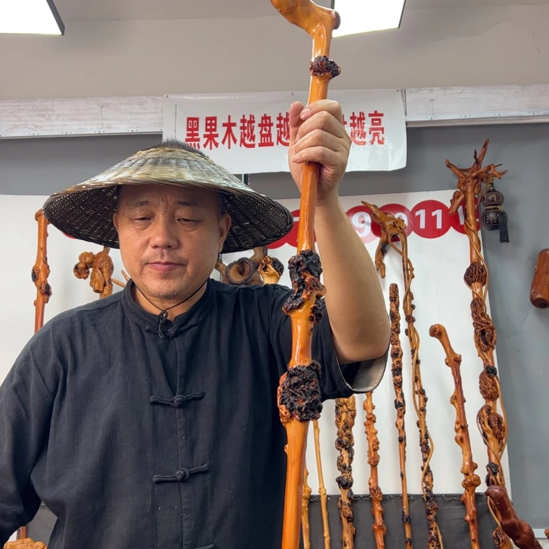 平***指黑果木其他黑果木566