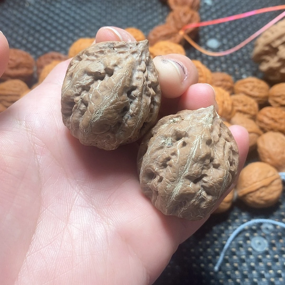 文玩核桃手串霸王龙手捻