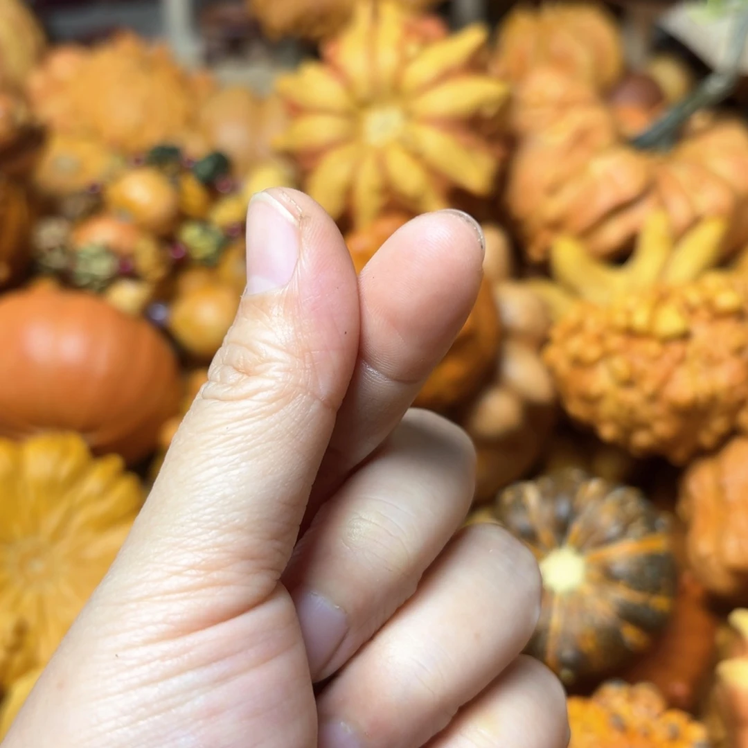 小*妖特价葫芦不退不换