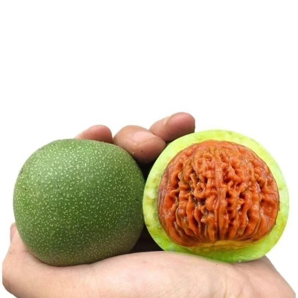 精品文玩核桃随机一对