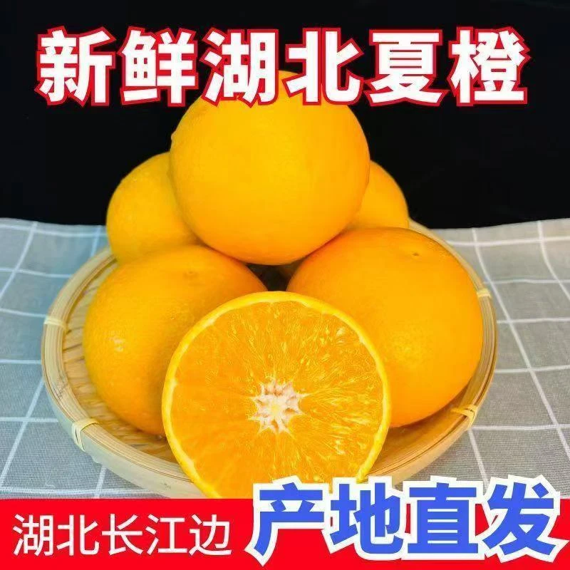 （秭归鸟）新鲜采摘夏橙脐橙榨汁果酸甜可口汁水充沛5斤9斤包邮到家